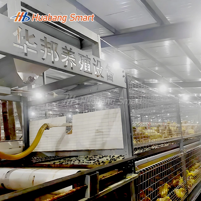 Automatic Chicken Broiler Cage